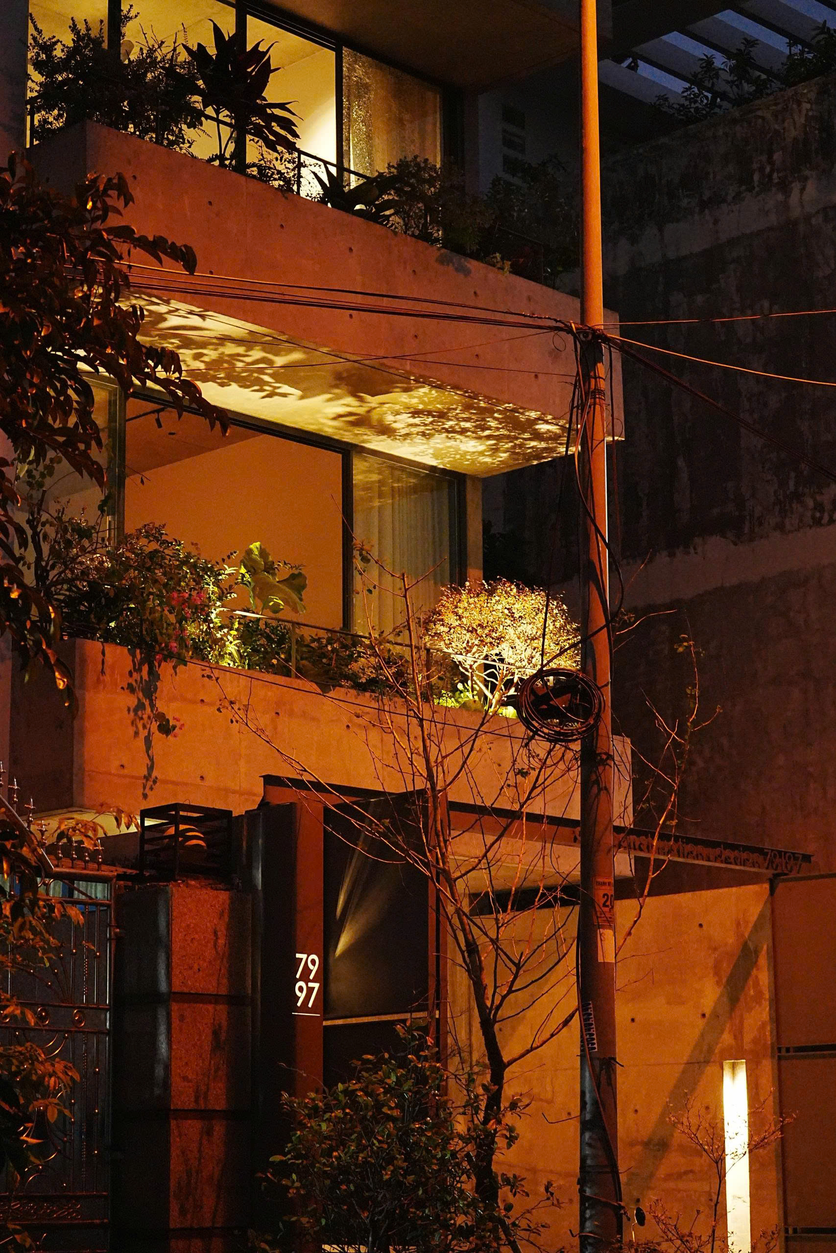 gallery-photo