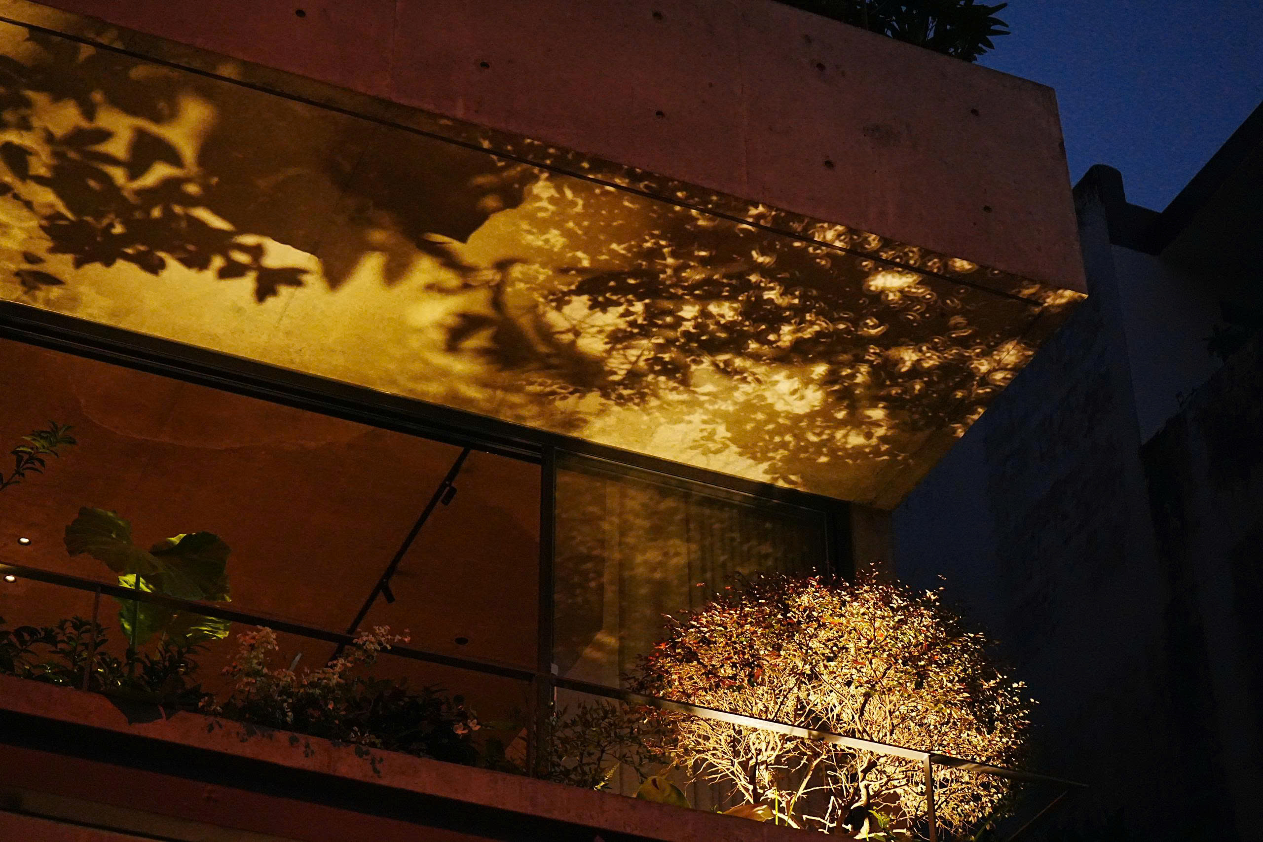 gallery-photo